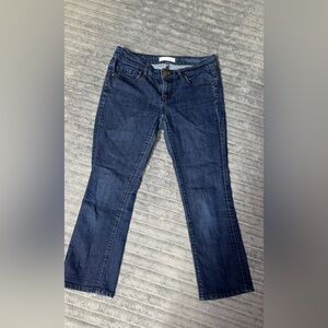 LOFT Dark Blue Women's Capris